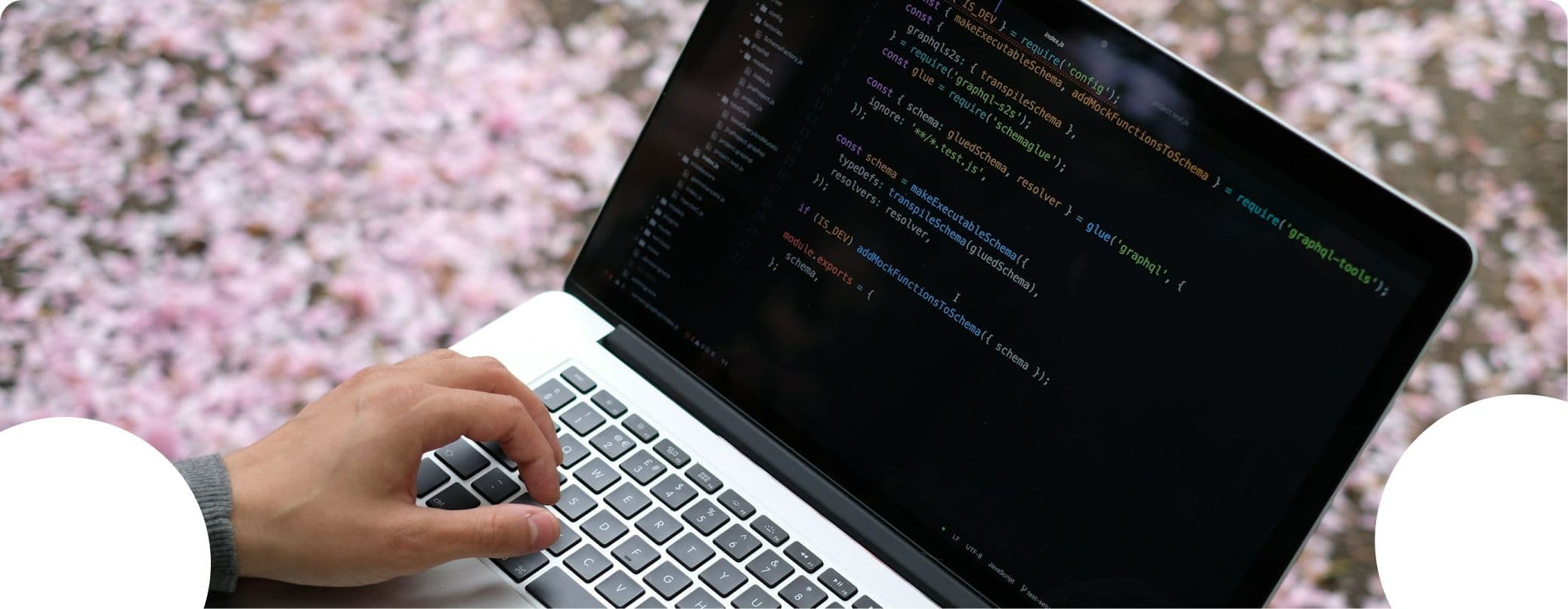 Web app development services